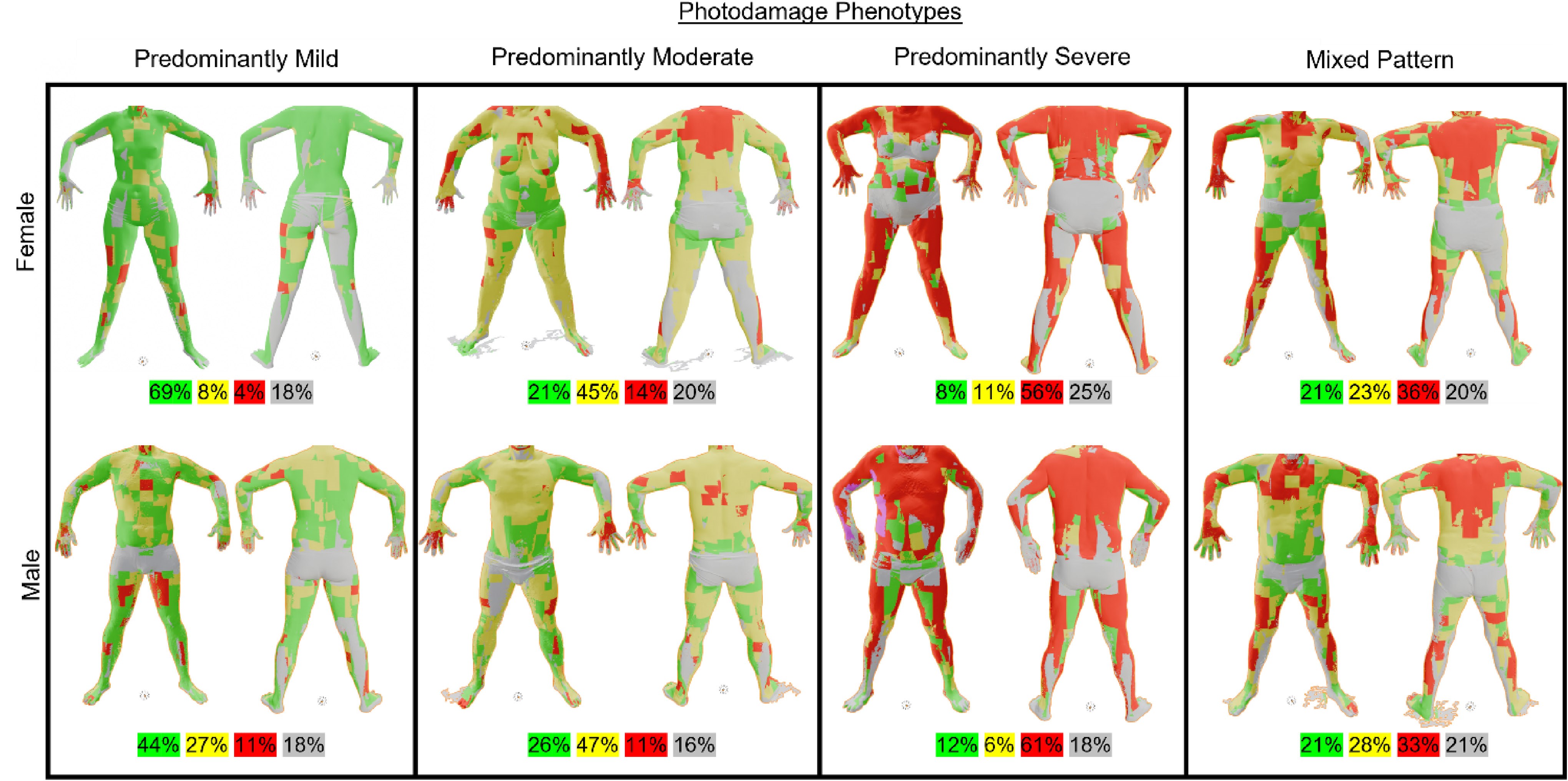 Photodamage phenotypes figure